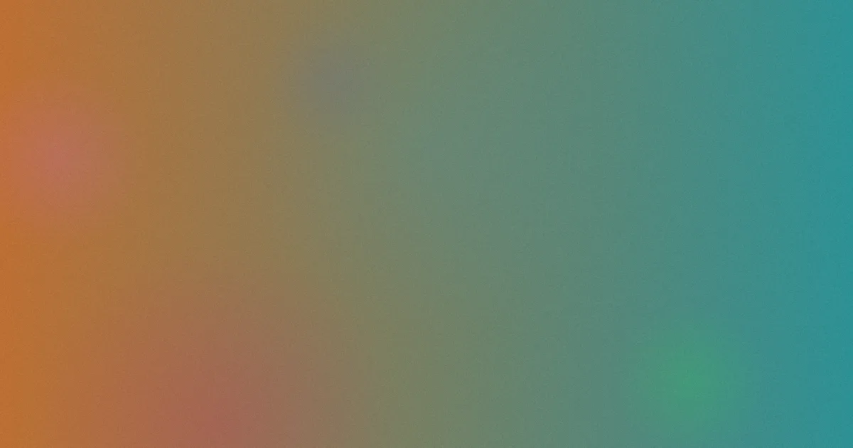 白袜tk推荐：新手这样选